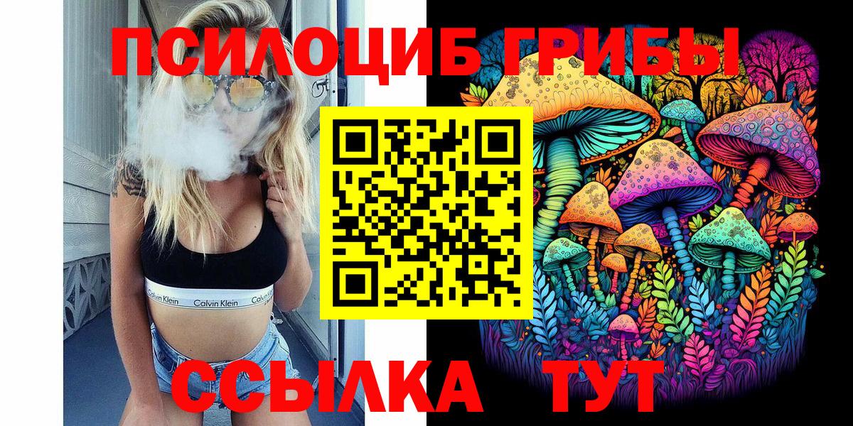 Крымск  Галлюциногенные грибы Psilocybine cubensis  Вход с VPN 