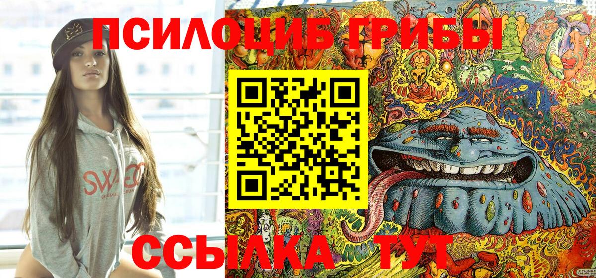 Галлюциногенные грибы Psilocybe Крымск